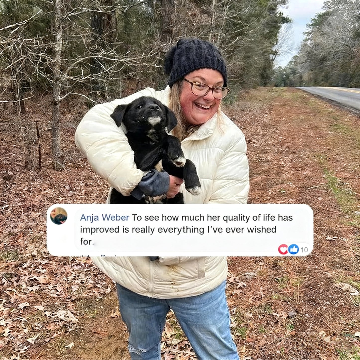 Veterinarian-Approved Skin Calming Spray
