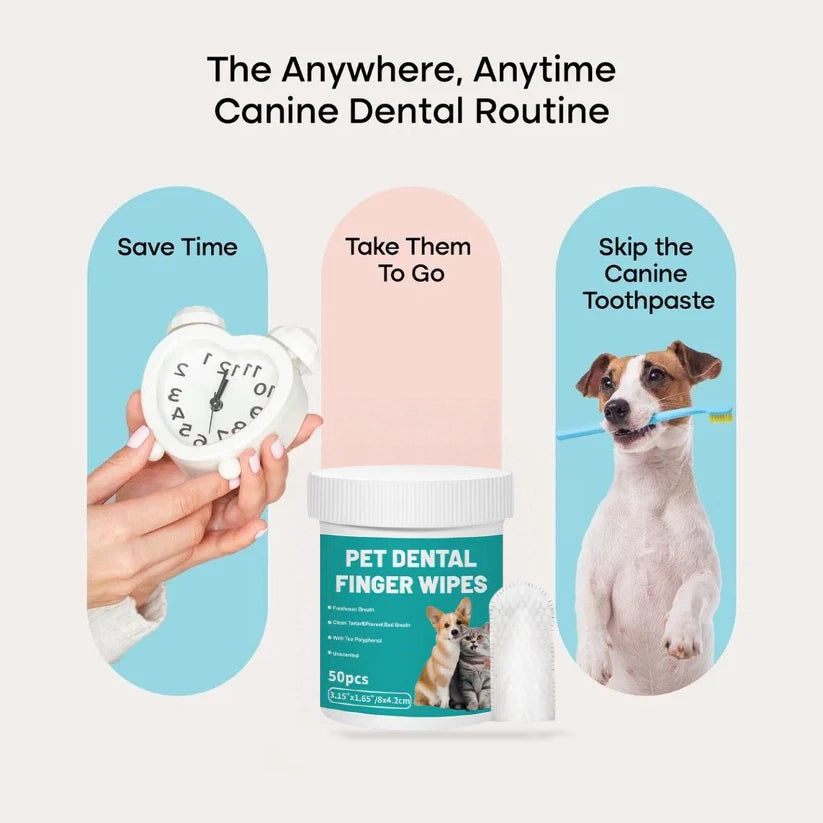 Pet Teeth Cleaning Finger Wipes - Protects Against Dental Diseases