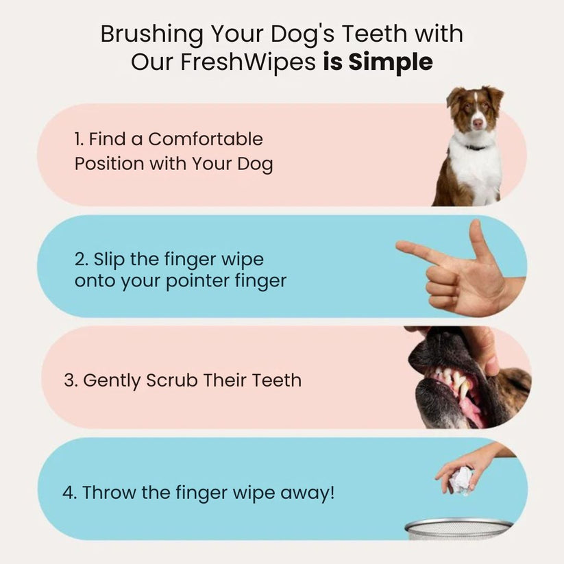 Pet Teeth Cleaning Finger Wipes - Protects Against Dental Diseases