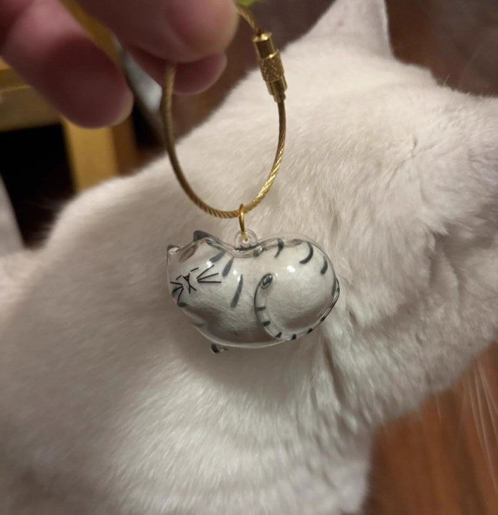 Pet hair storage box capsule pendant