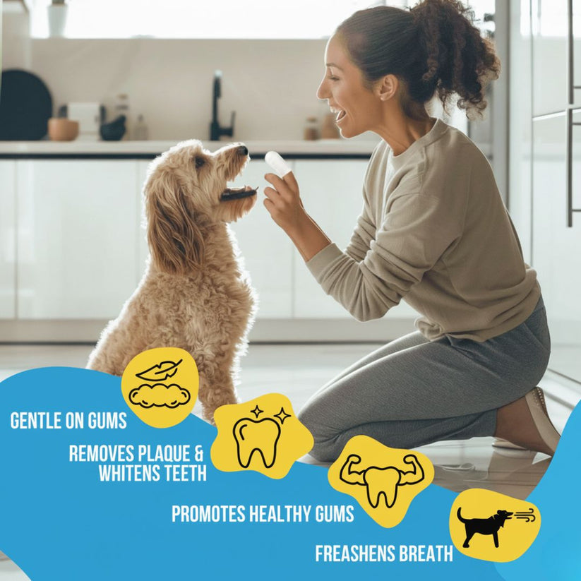 Pet Teeth Cleaning Finger Wipes - Protects Against Dental Diseases