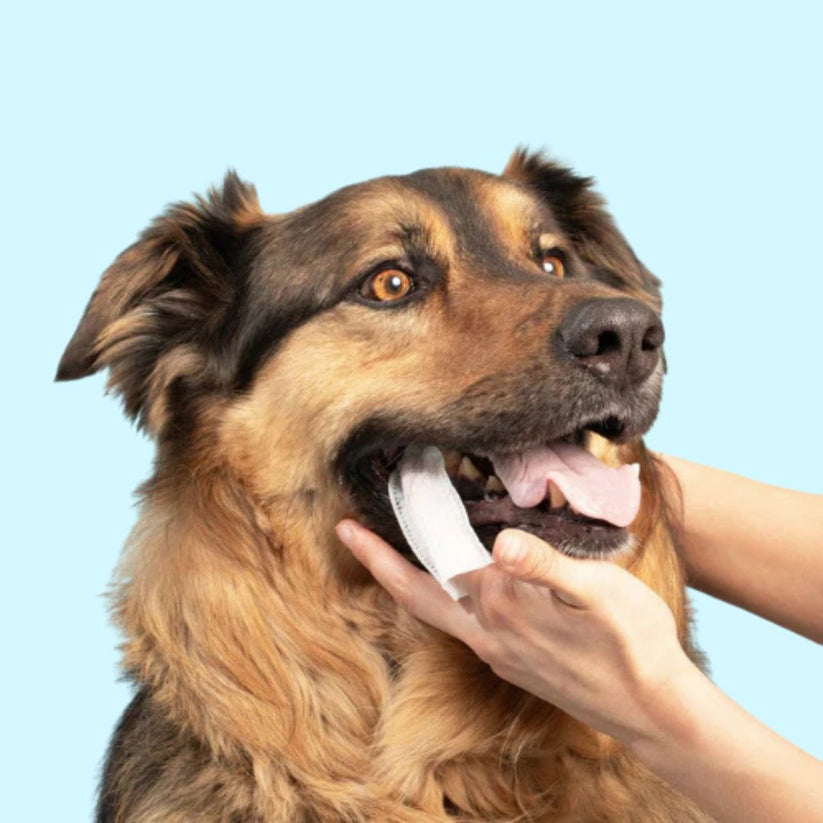 Pet Teeth Cleaning Finger Wipes - Protects Against Dental Diseases