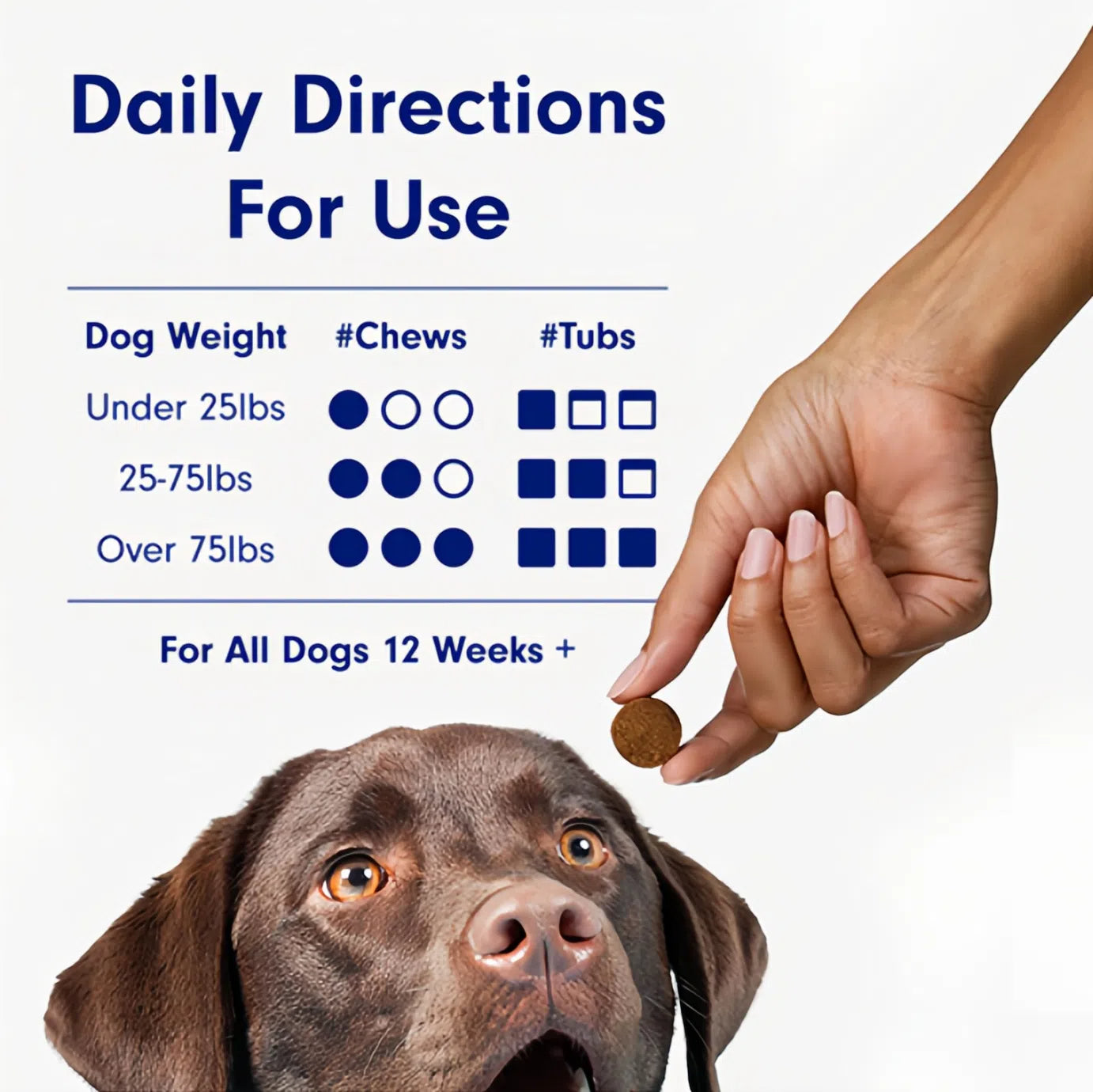 Allergy & Immune Probiotic Chew