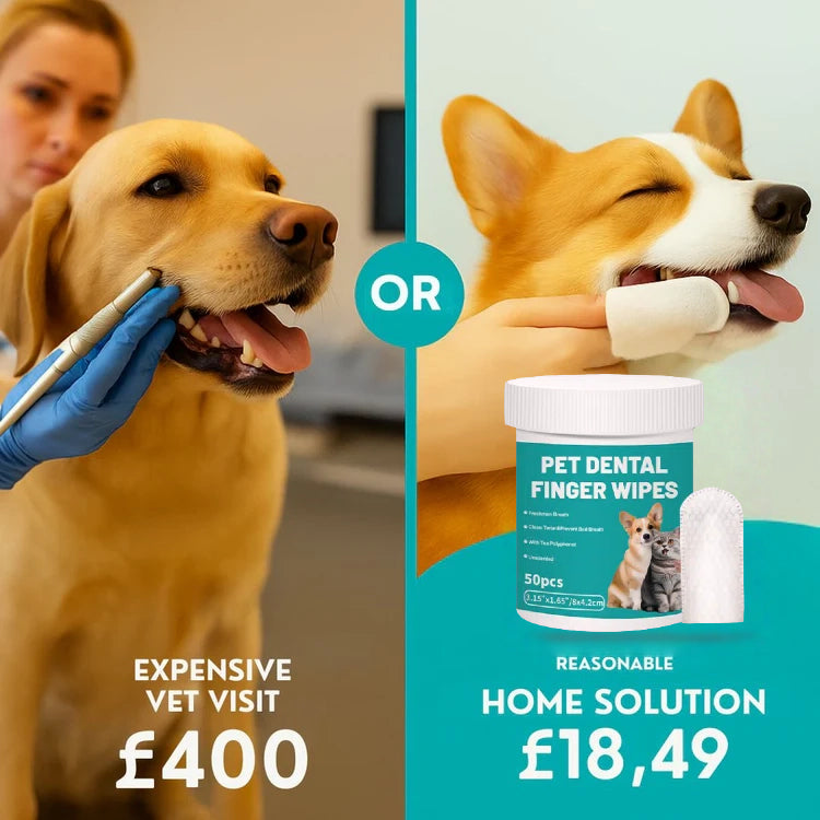Pet Teeth Cleaning Finger Wipes - Protects Against Dental Diseases