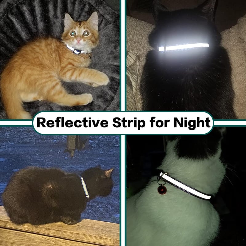 AirTag Collar