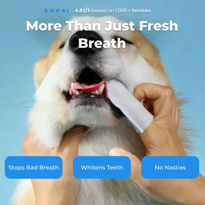 Pet Teeth Cleaning Finger Wipes - Protects Against Dental Diseases