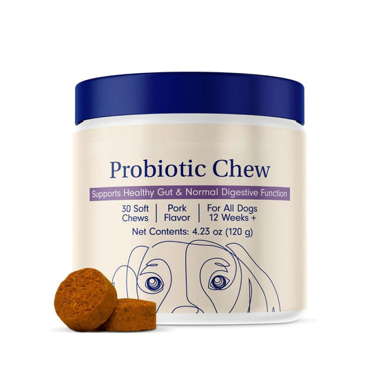 Allergy & Immune Probiotic Chew