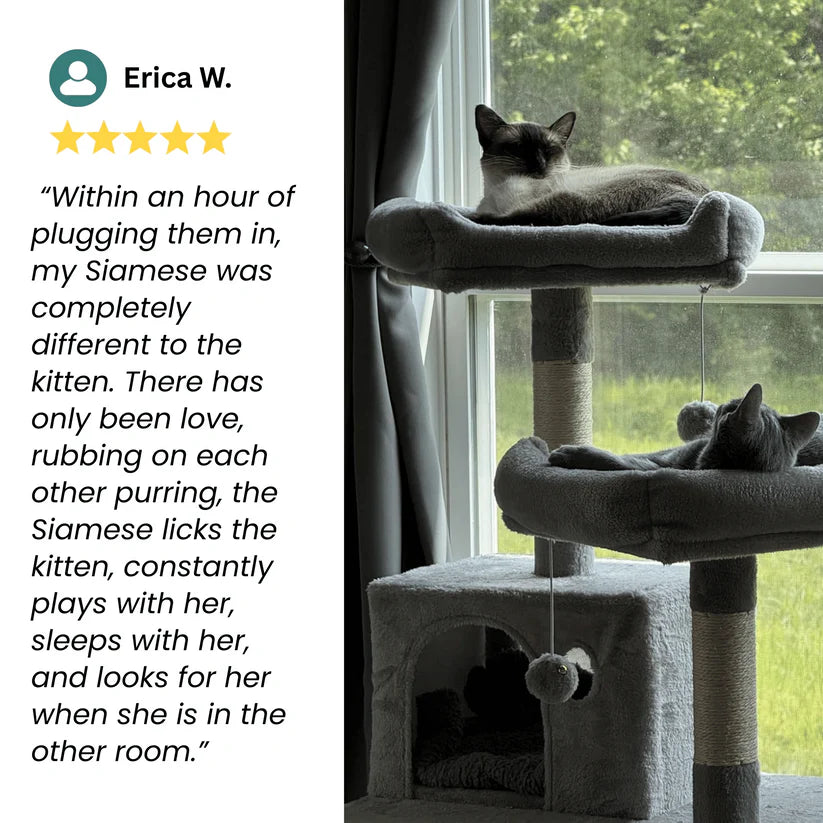 Cat Calming Pheromone Diffuser Kit