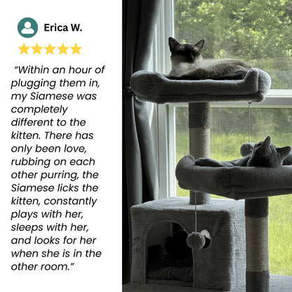 Cat Calming Pheromone Diffuser Kit