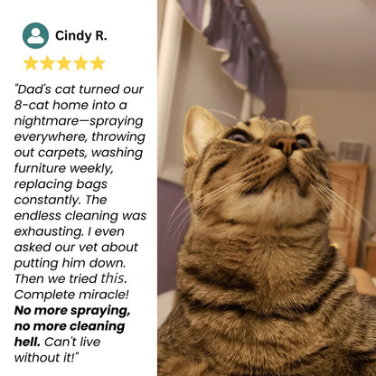 Cat Calming Pheromone Diffuser Kit